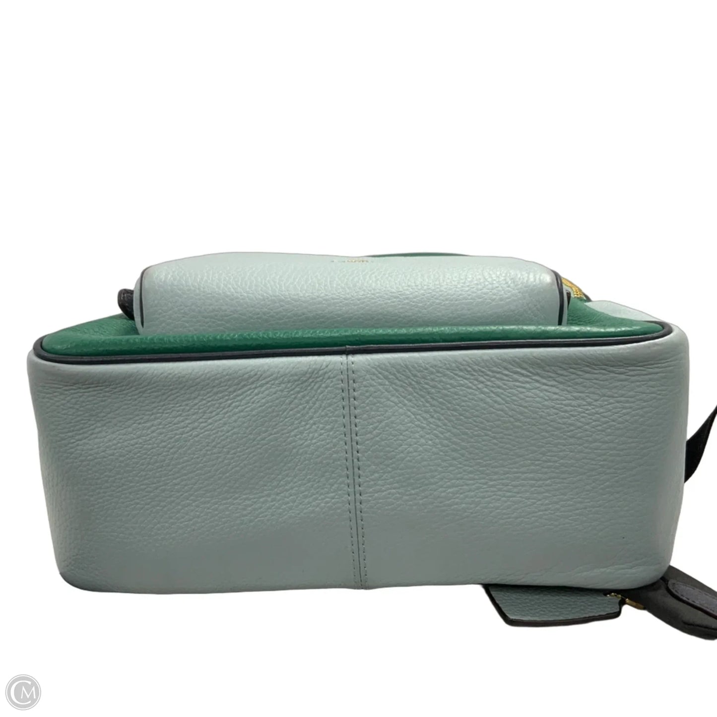 Backpack Designer By Coach, Size: Large