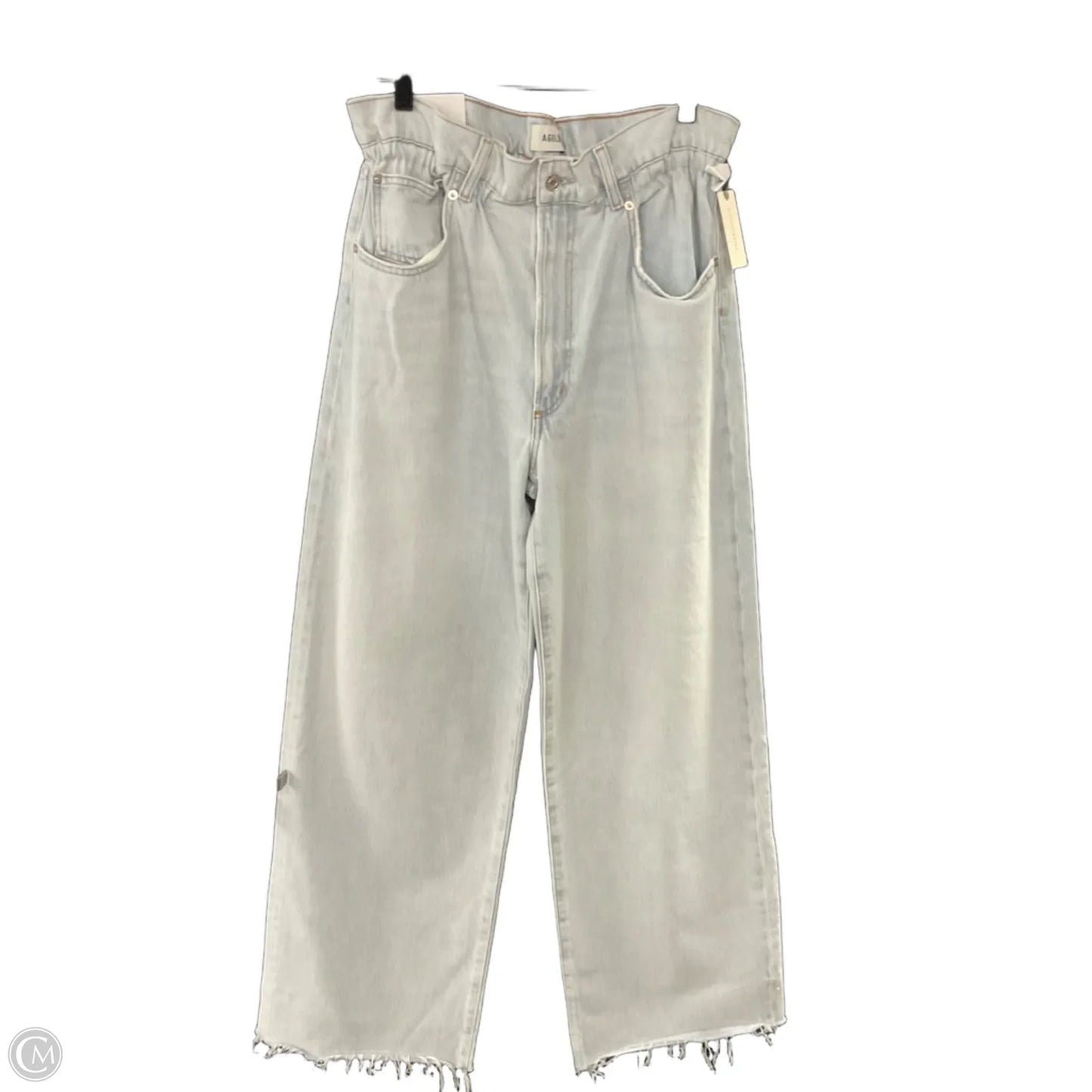 Jeans Designer By Agolde In Blue Denim, Size: 10