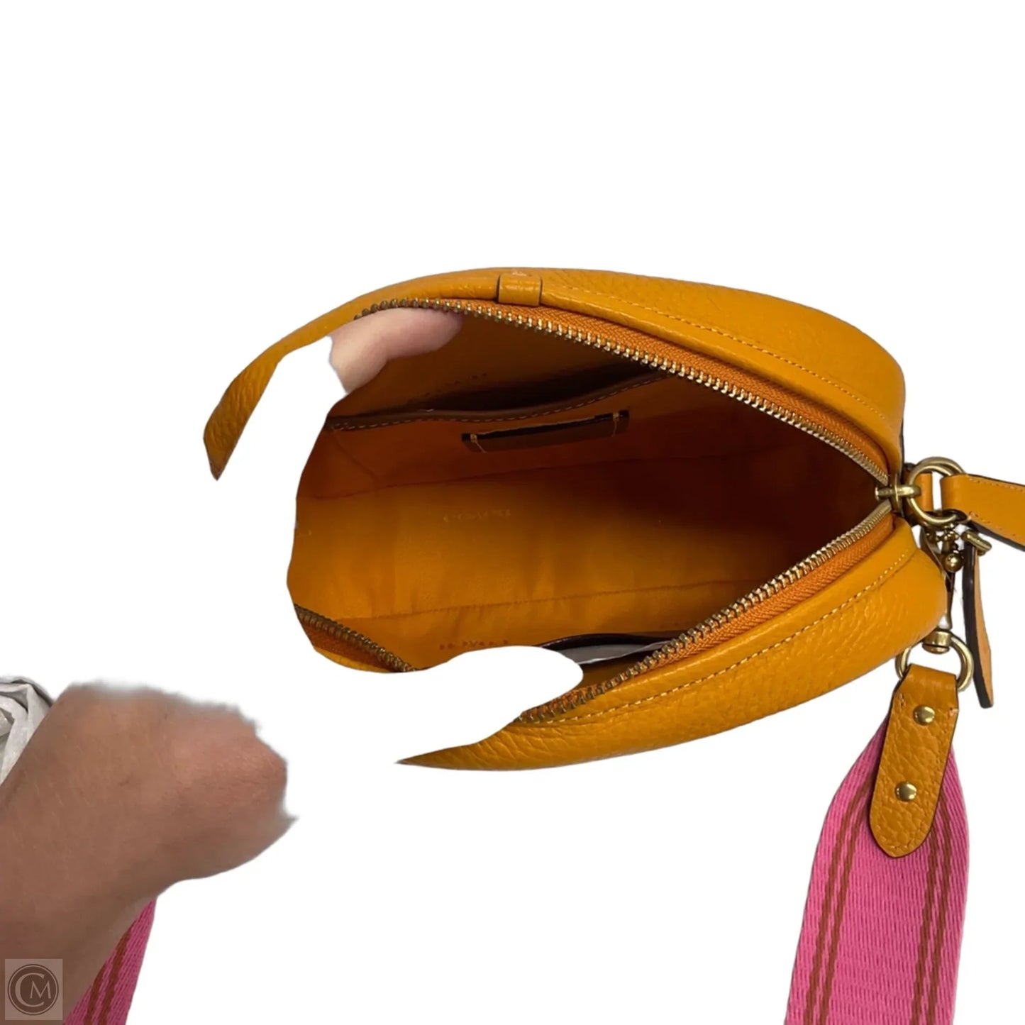 Handbag Luxury Designer By Coach, Size: Small
