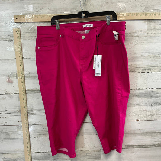 Pink Capris D Jeans, Size 22w