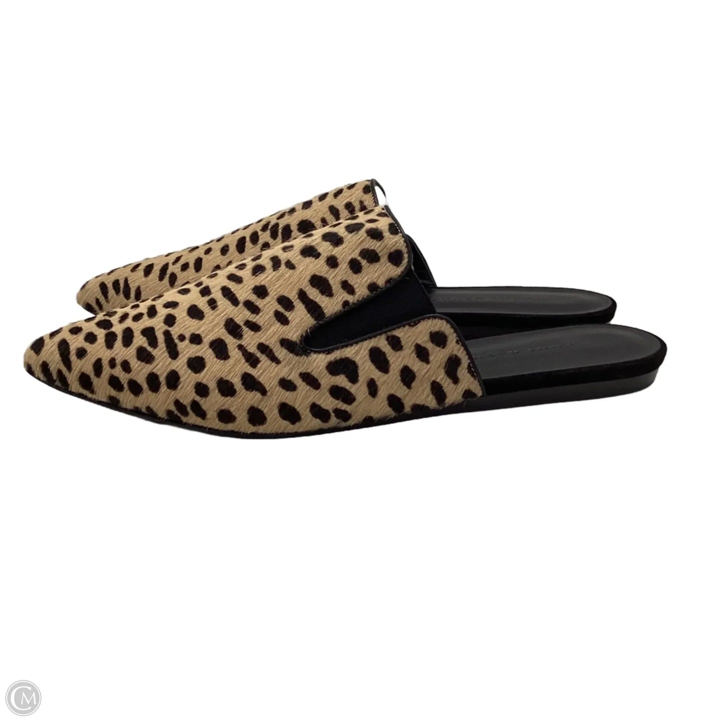 Shoes Flats By Jenni Kayne In Animal Print, Size: 9