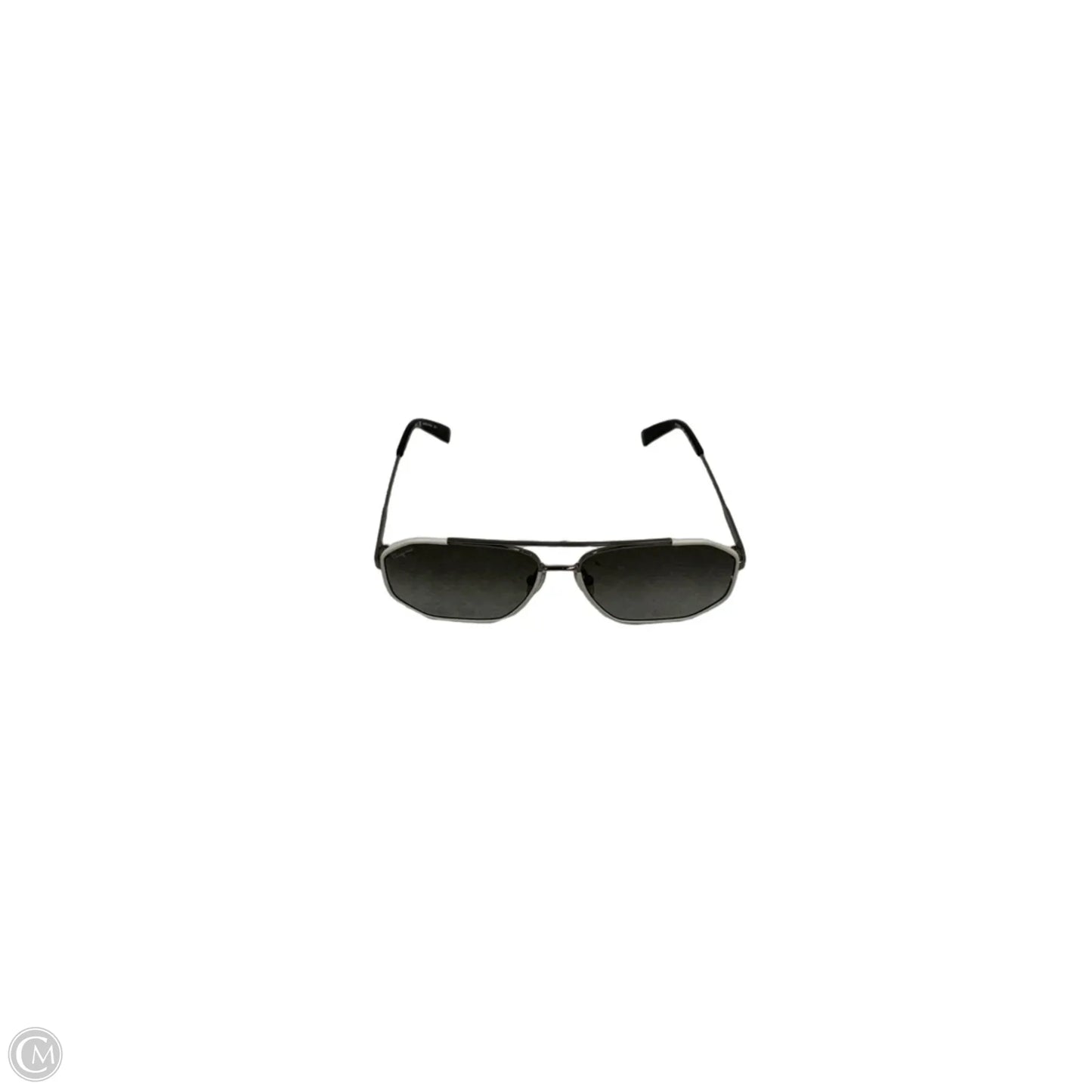 Sunglasses Luxury Designer By Ferragamo, Size: