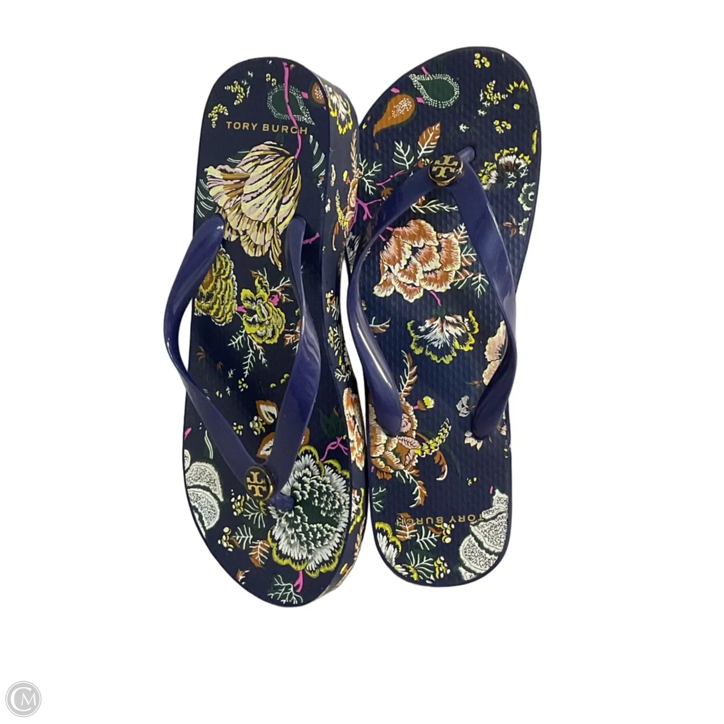 Sandals Designer By Tory Burch In Blue, Size: 9