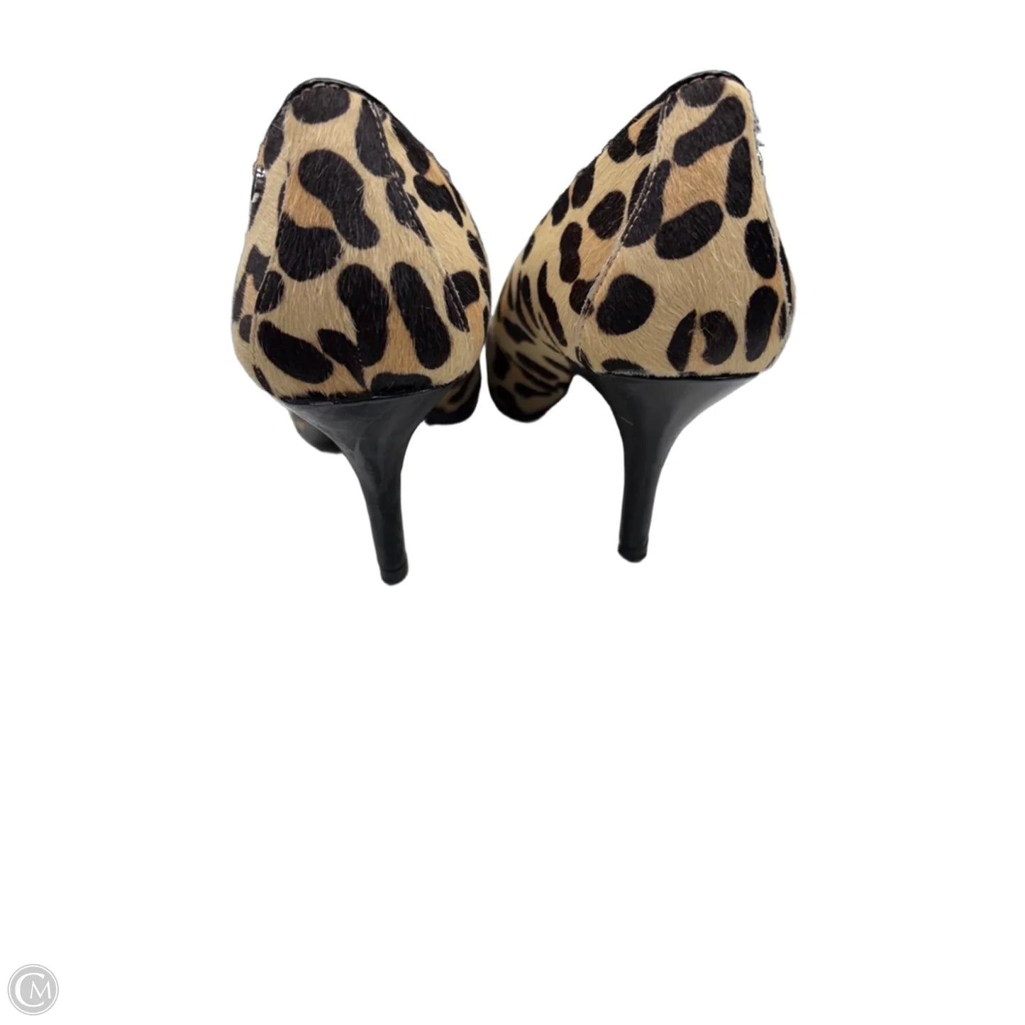 Shoes Heels Kitten By Calvin Klein In Leopard Print, Size: 7.5