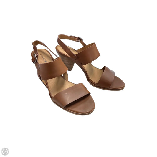 Sandals Heels Kitten By Lucky Brand In Brown, Size: 8