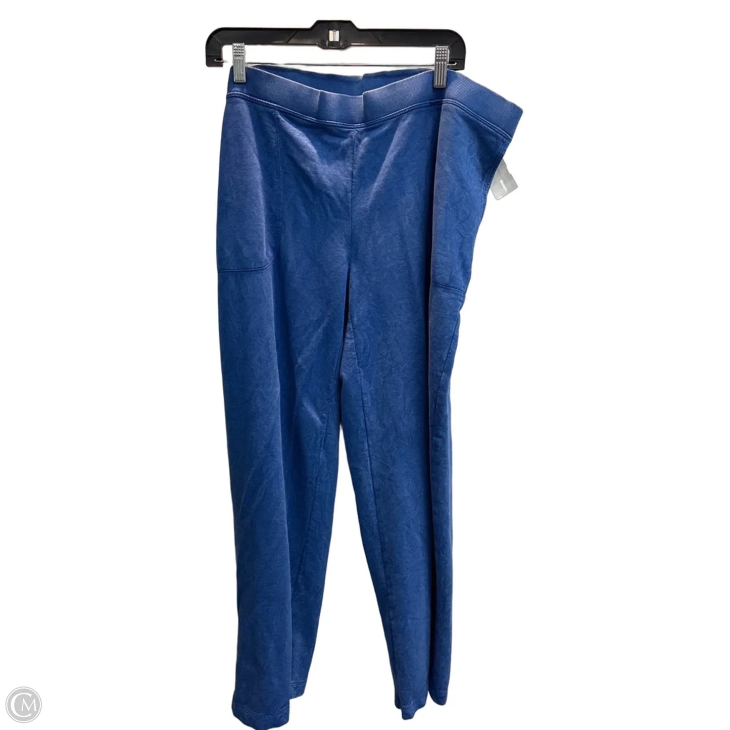 Athletic Pants 2pc By J. Jill In Blue, Size: Xl