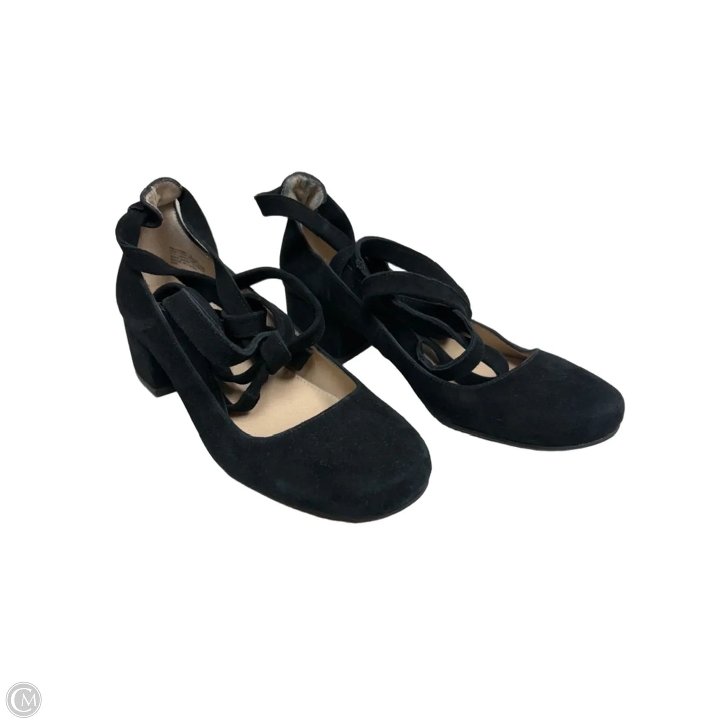 Shoes Heels Block By Steve Madden In Black, Size: 8