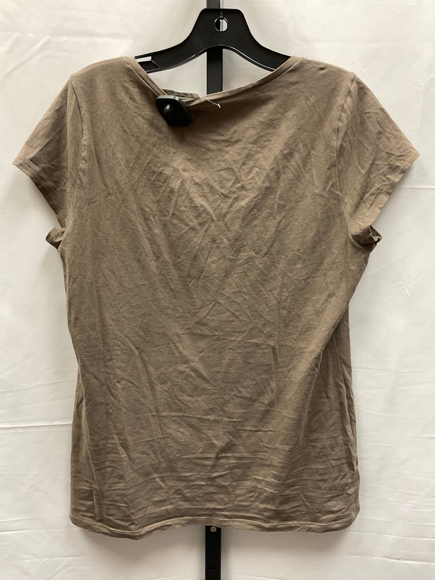 Brown Top Short Sleeve Basic Ann Taylor, Size L