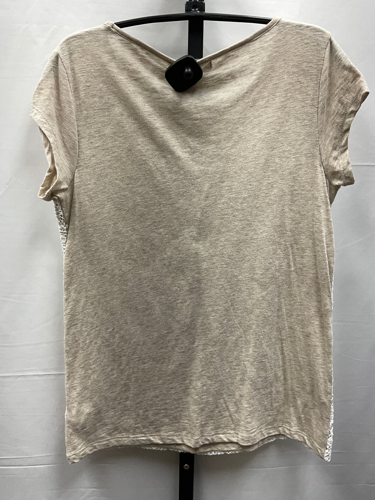 Top Short Sleeve By Liz Claiborne In Tan & White, Size: S