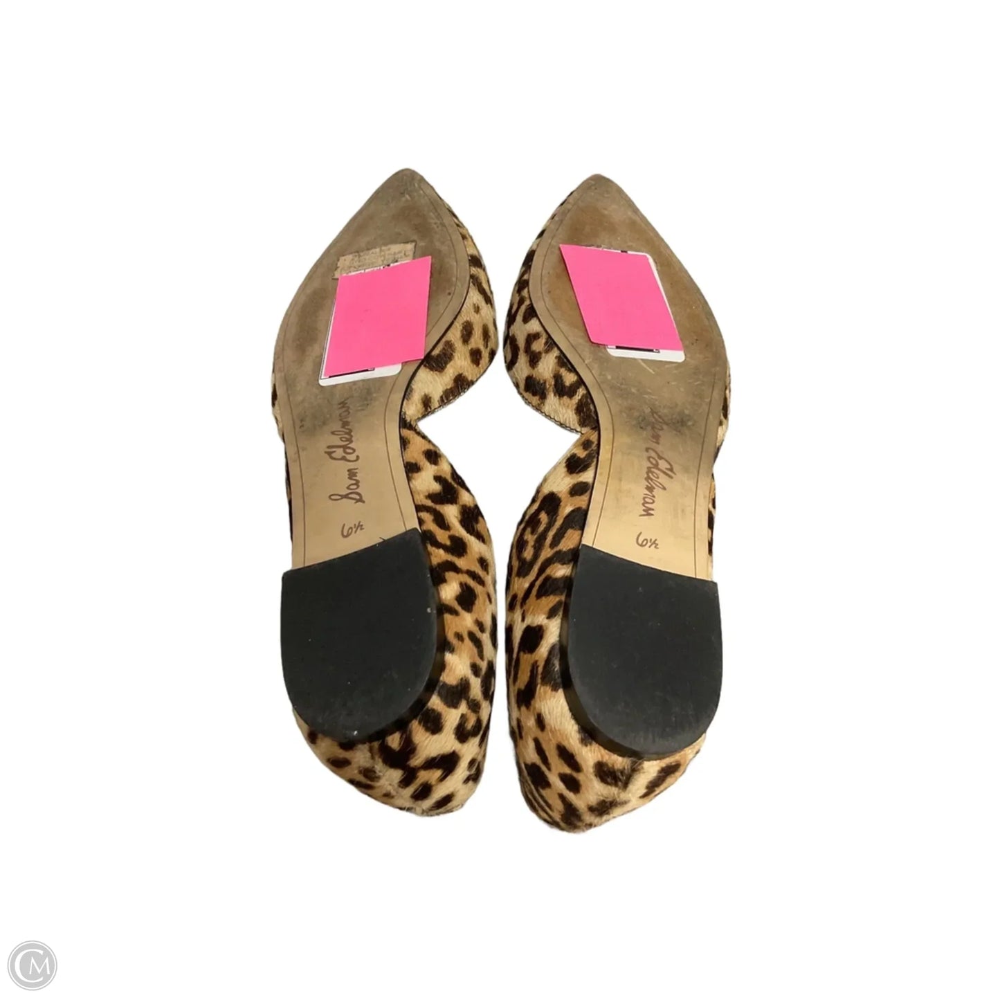 Shoes Flats By Sam Edelman In Animal Print, Size: 6.5