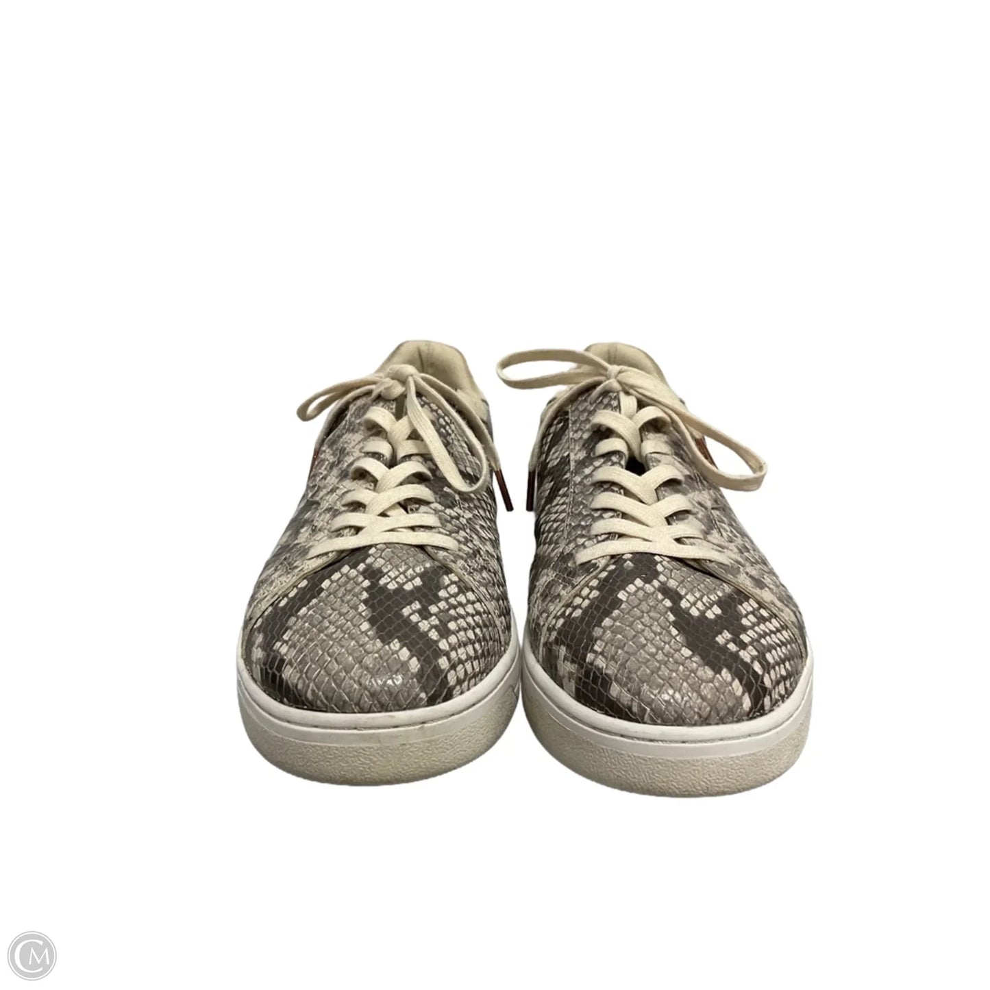 Shoes Sneakers By Michael By Michael Kors In Snakeskin Print, Size: 10