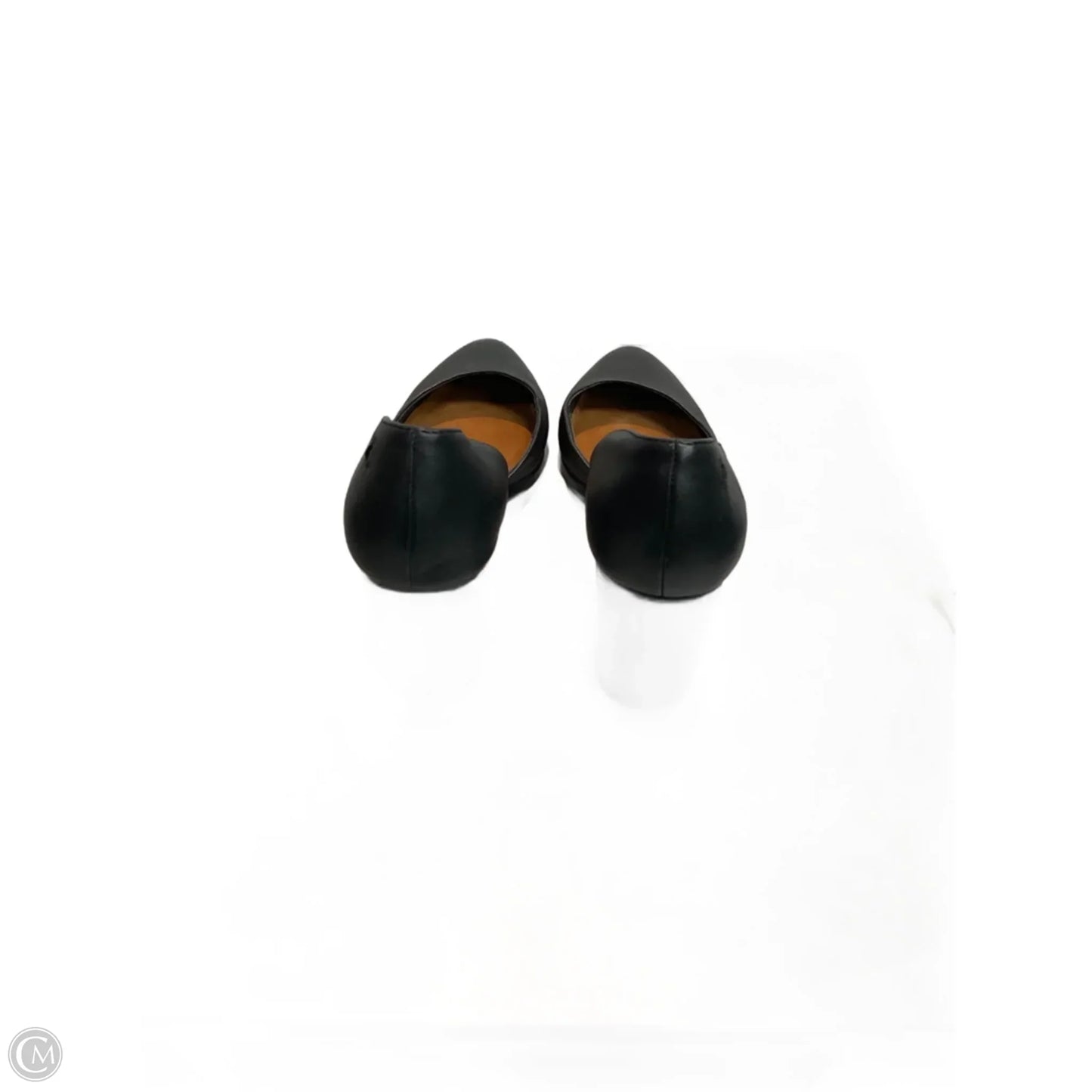 Shoes Heels Block By Zodiac In Black, Size: 8