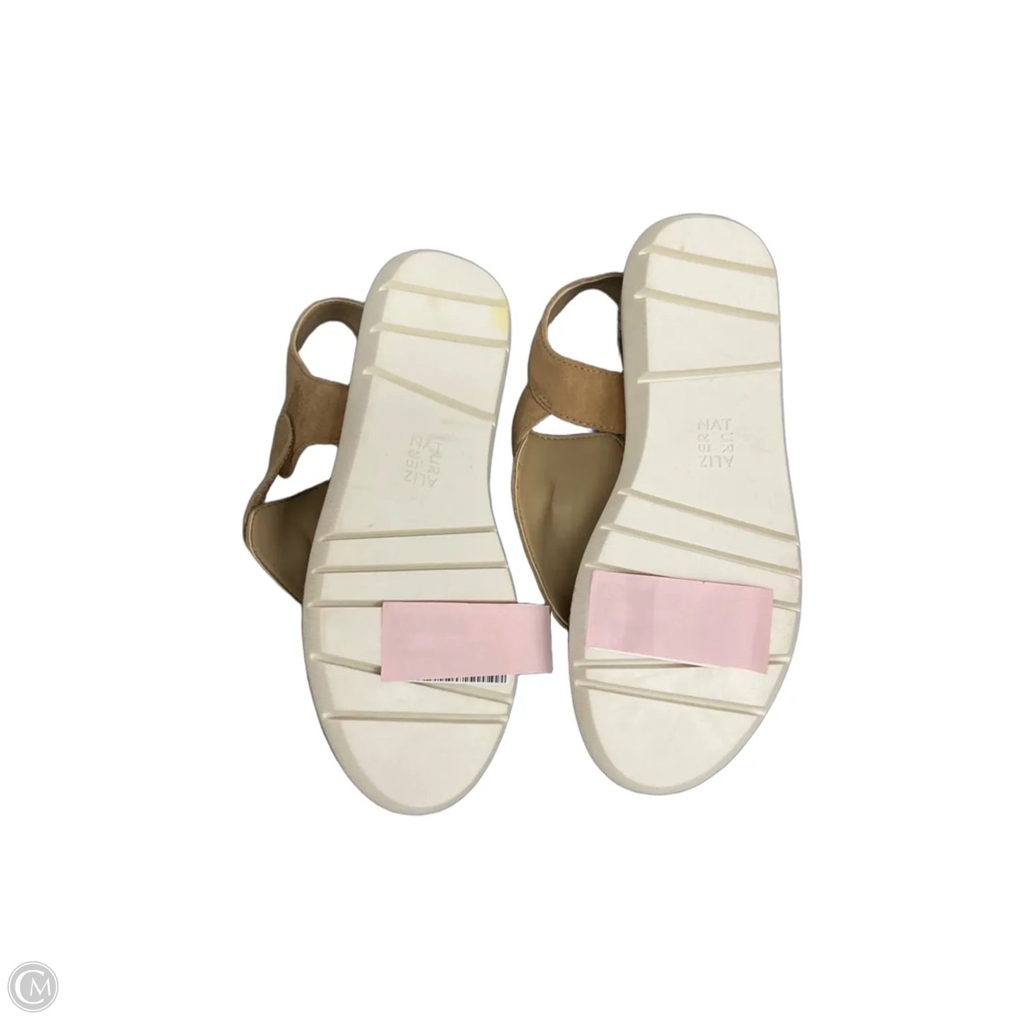 Sandals Flats By Naturalizer In Snakeskin Print, Size: 7.5