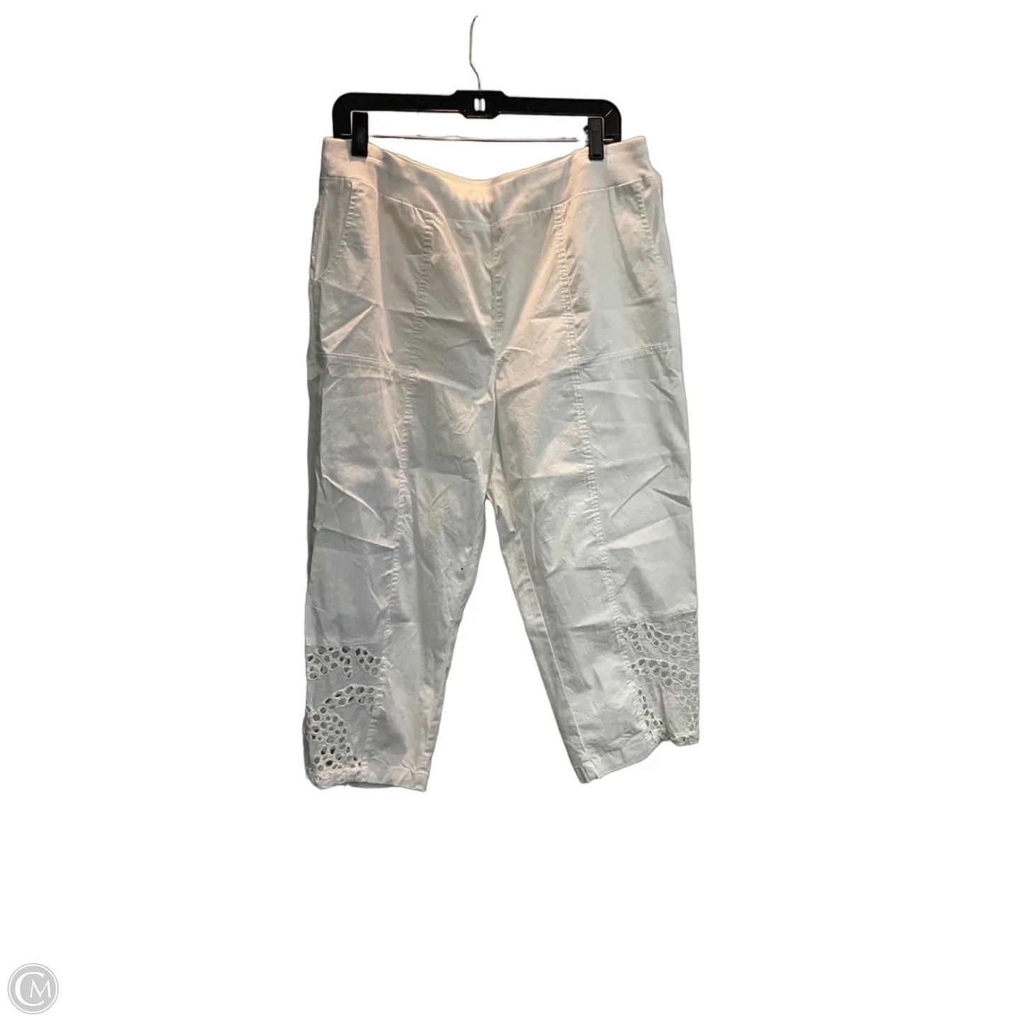 Pants Other By Zenergy By Chicos In White, Size: 14