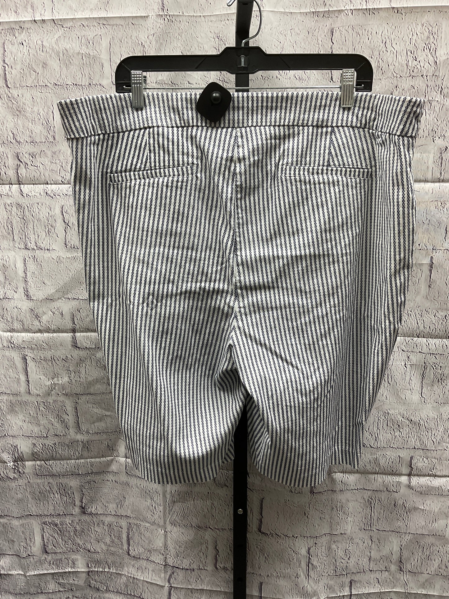 Shorts By Briggs  Size: 22