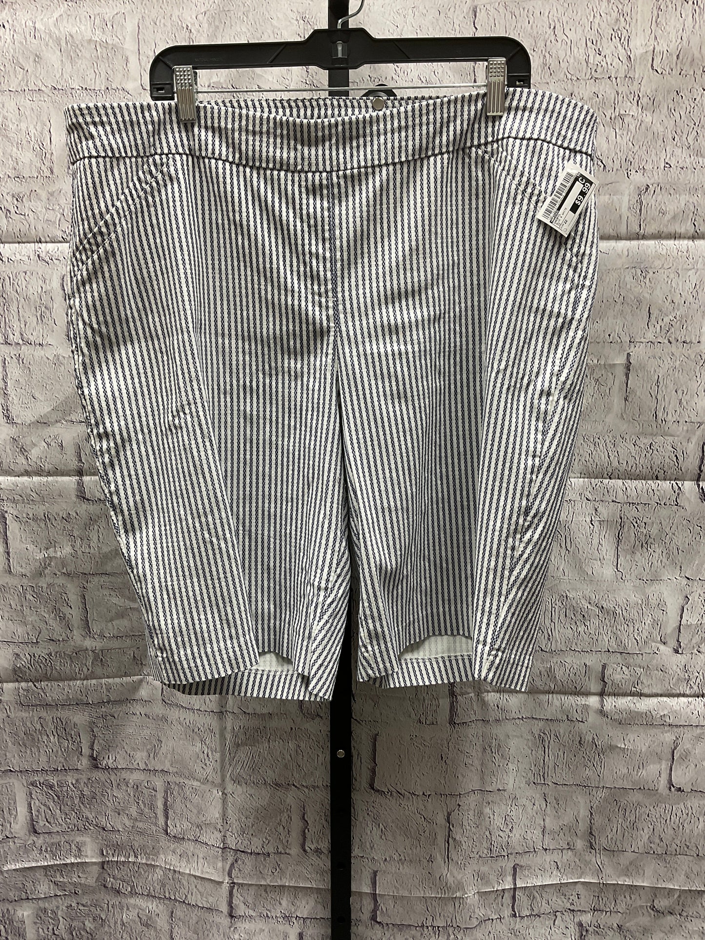 Shorts By Briggs  Size: 22