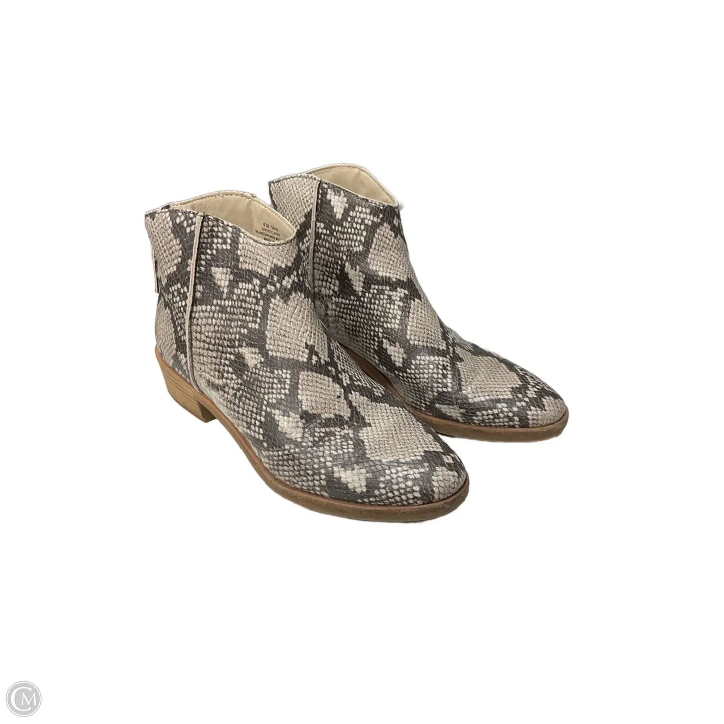 Boots Ankle Heels By Dolce Vita In Snakeskin Print, Size: 8.5