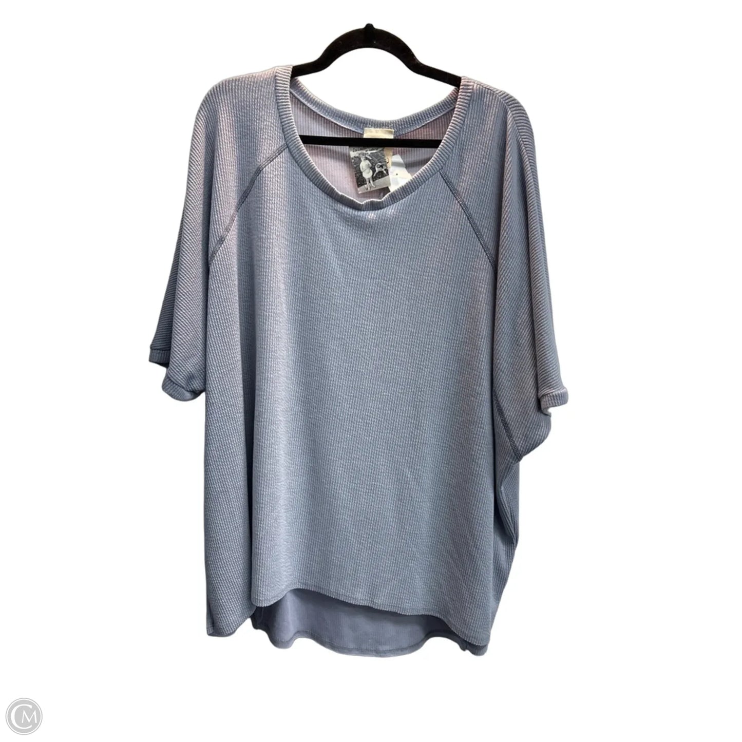 Top Short Sleeve By Artistic Works By Lu In Grey, Size: L