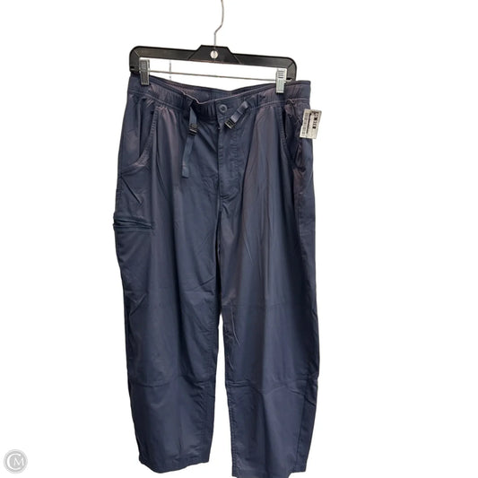 Athletic Pants By Rei In Navy, Size: L