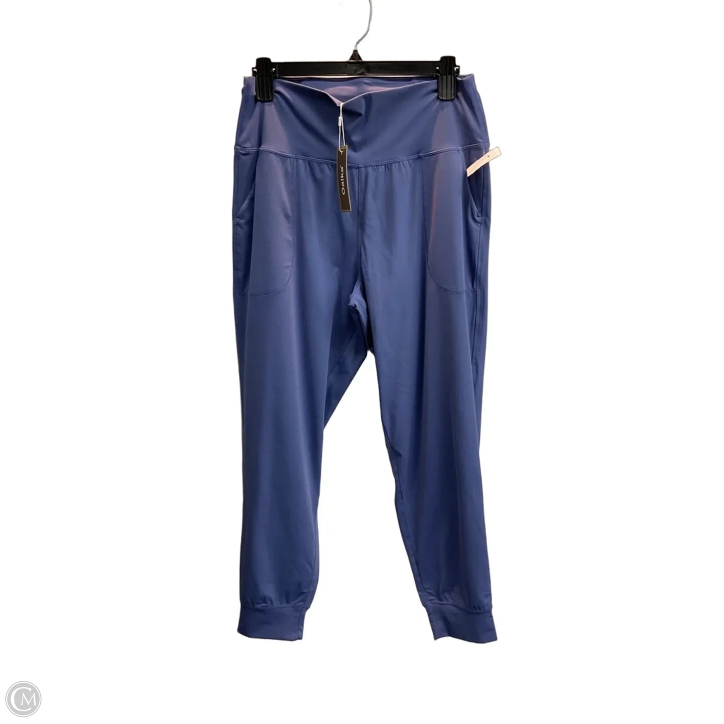 Athletic Pants By Clothes Mentor In Blue, Size: Xl