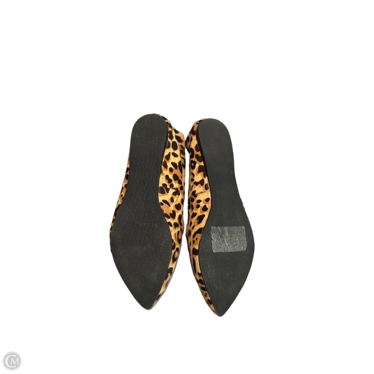 Shoes Flats By Steve Madden In Animal Print, Size: 6.5