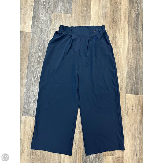 Athletic Pants By Helly Hansen In Blue, Size: M