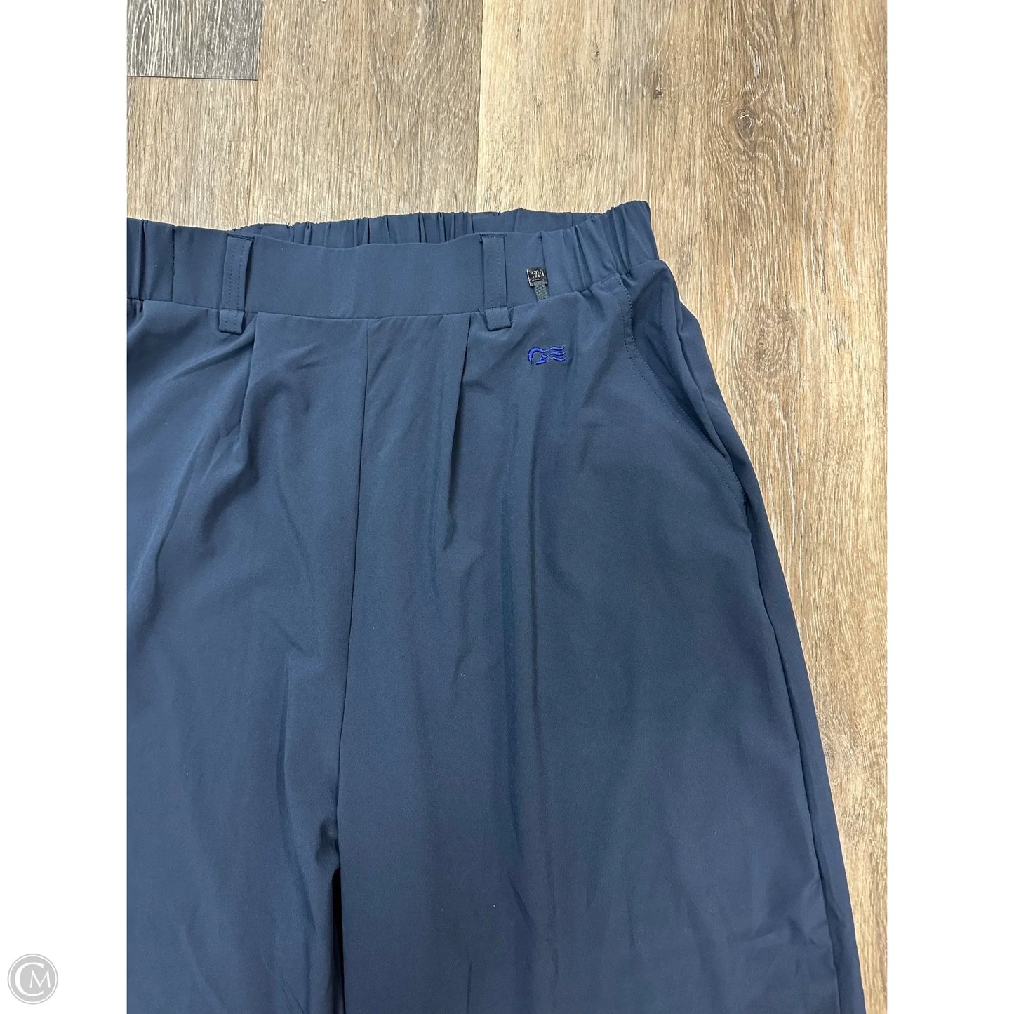 Athletic Pants By Helly Hansen In Blue, Size: M