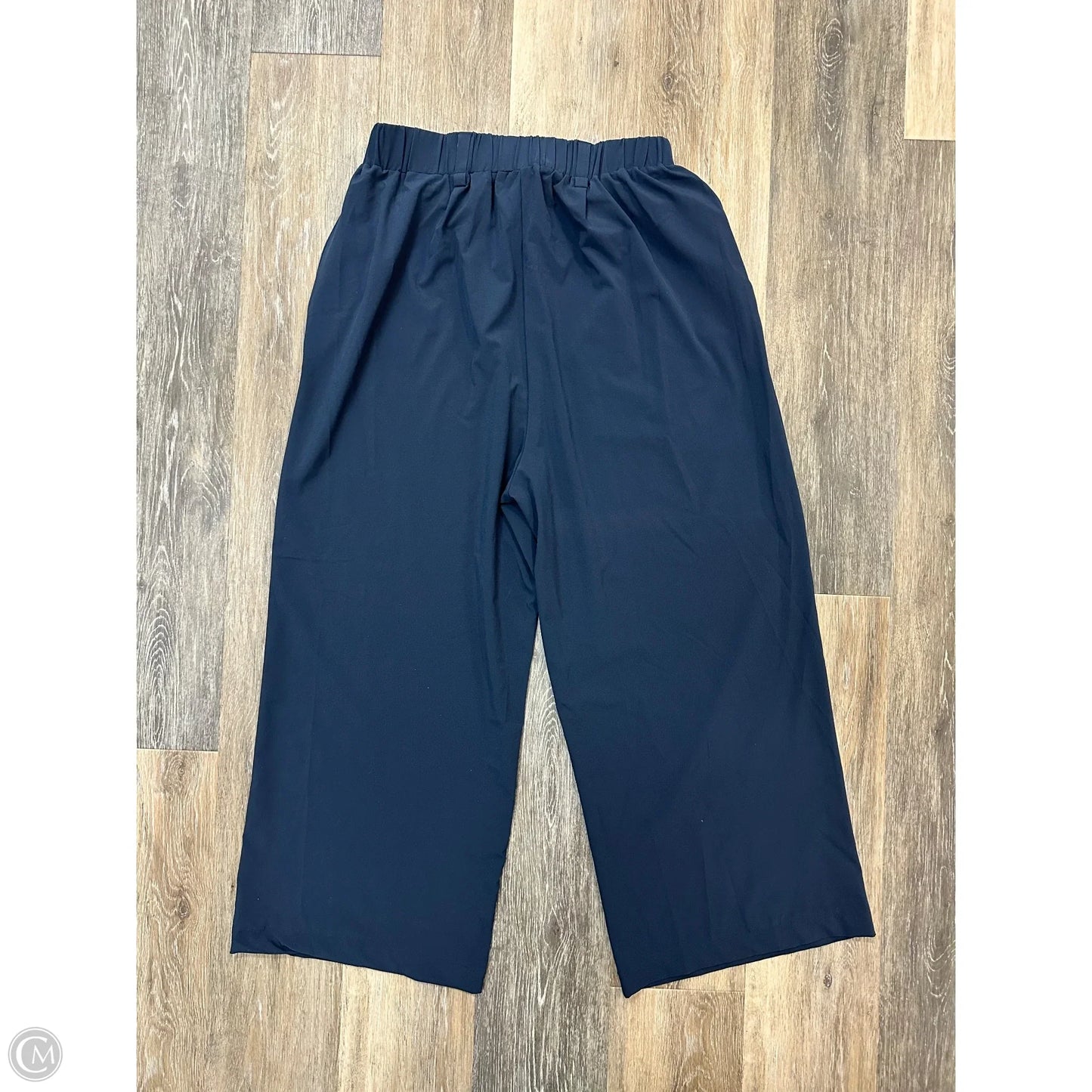 Athletic Pants By Helly Hansen In Blue, Size: M