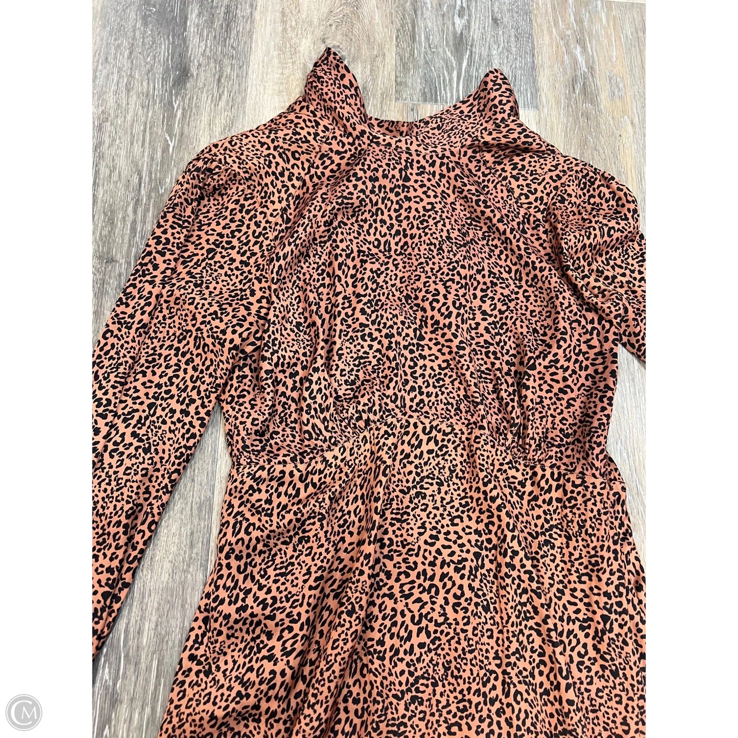 Dress Casual Maxi By Free People In Animal Print, Size: 6