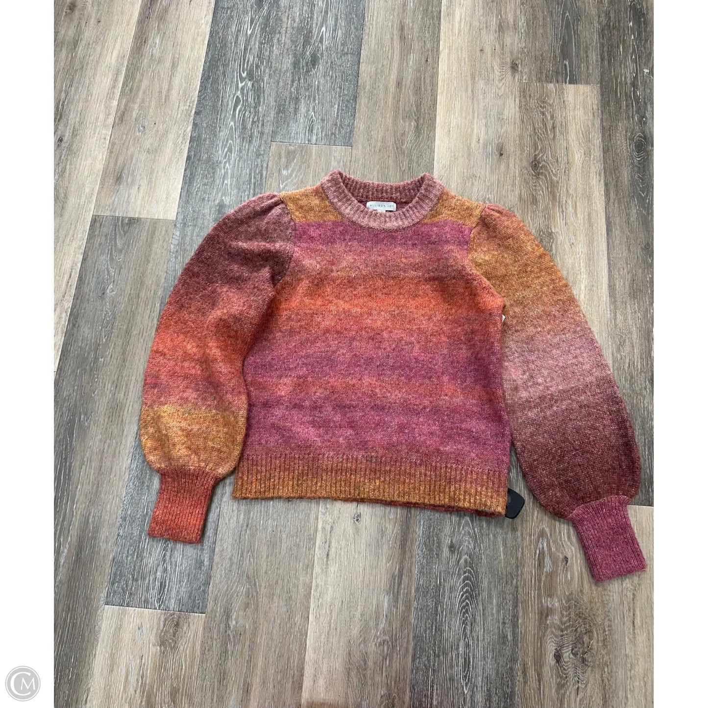 Sweater By Allison Joy In Multi-colored, Size: S