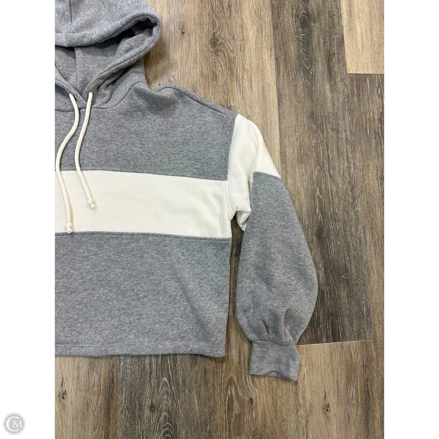 Sweatshirt Hoodie By Z Supply In Grey, Size: S
