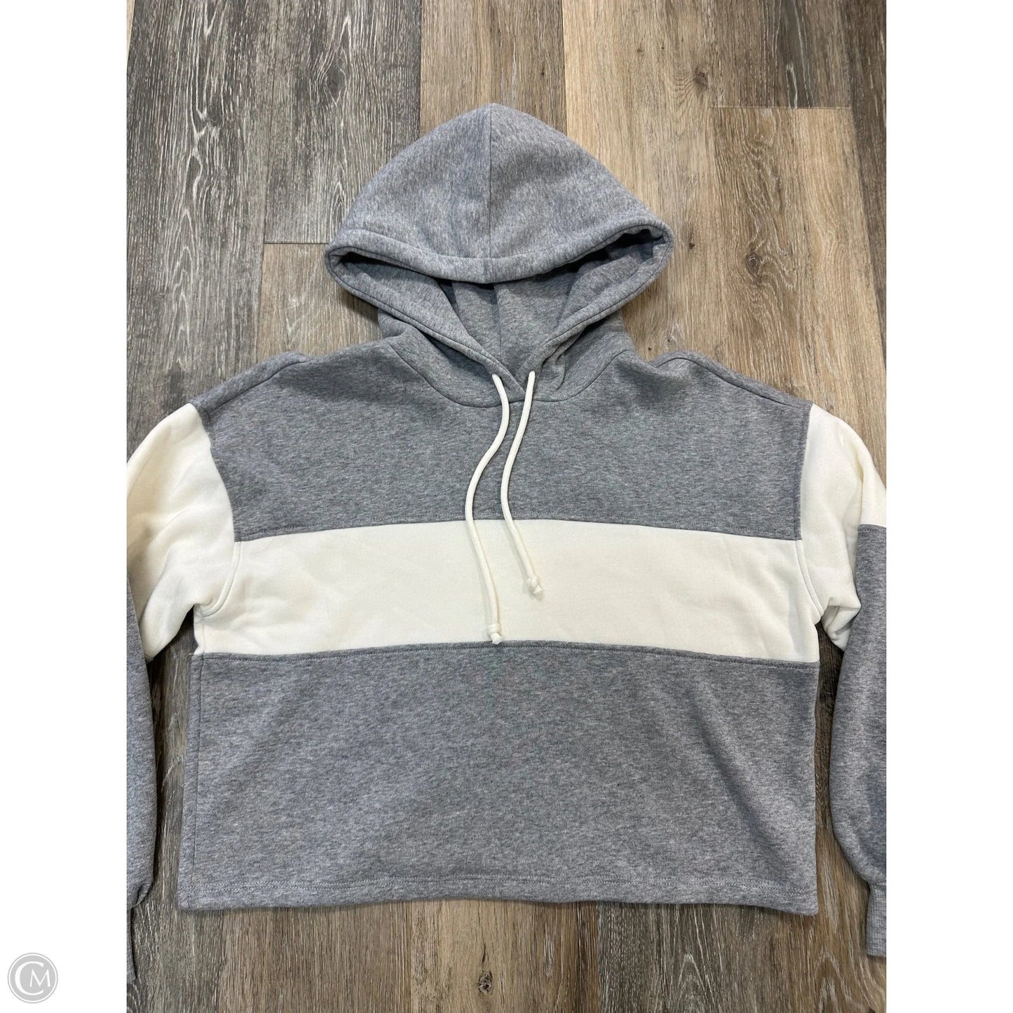 Sweatshirt Hoodie By Z Supply In Grey, Size: S