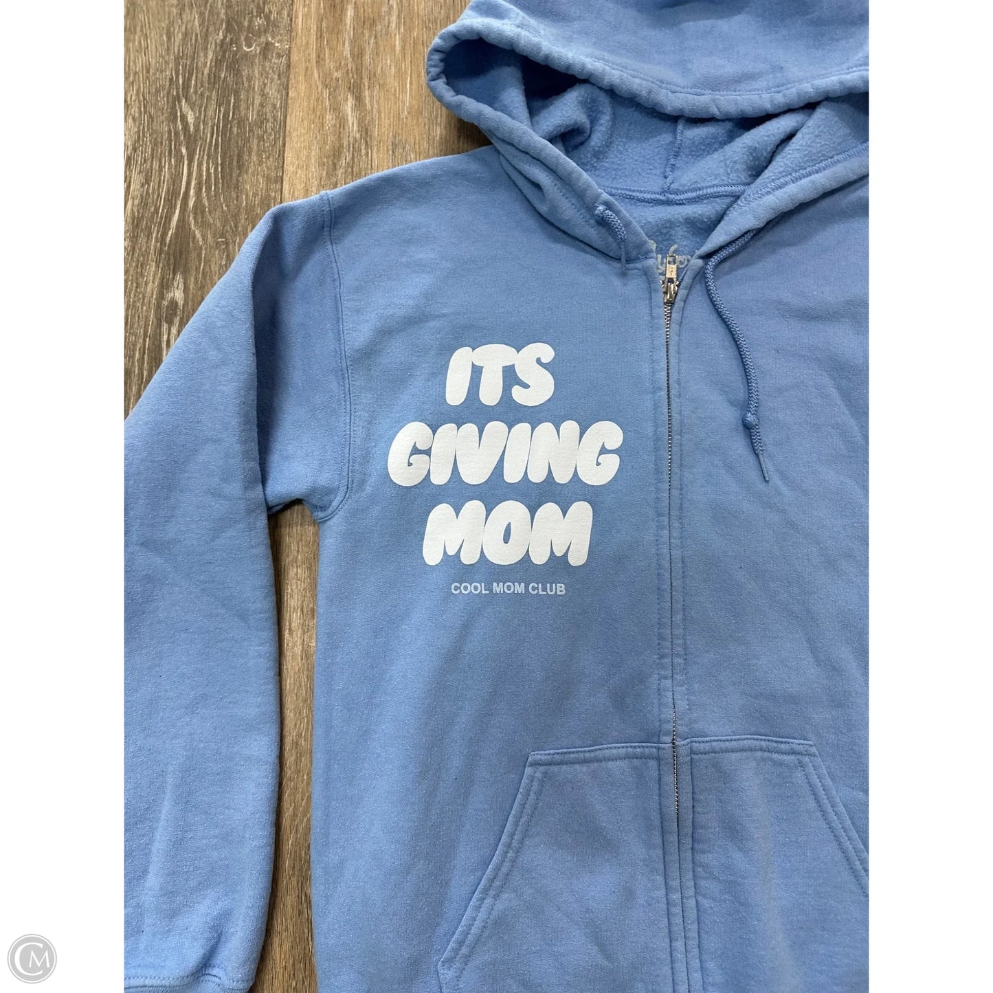 Sweatshirt Hoodie By Slyfox Threads In Blue, Size: S