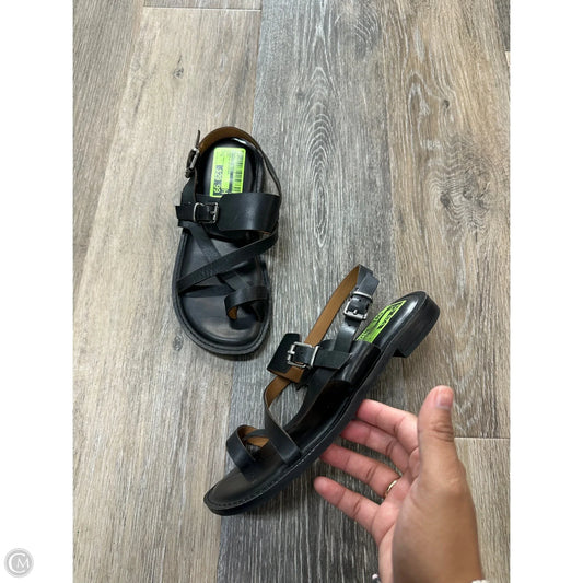 Sandals Designer By Patricia Nash In Black, Size: 6