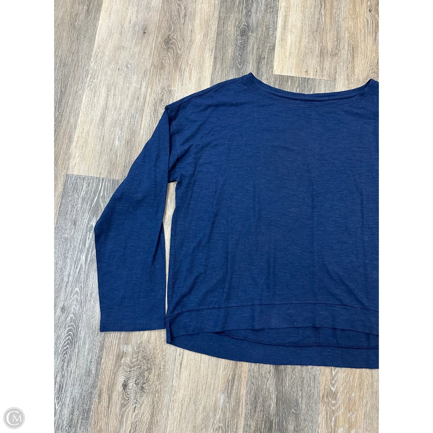 Top Long Sleeve By Eileen Fisher In Blue, Size: Xl