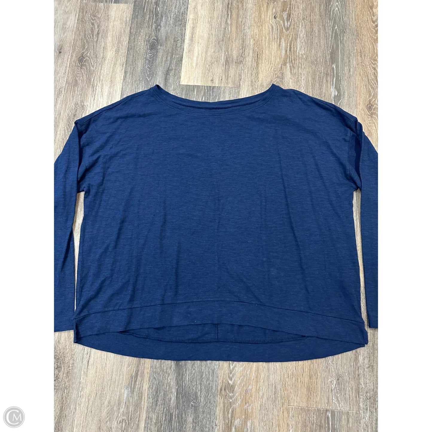 Top Long Sleeve By Eileen Fisher In Blue, Size: Xl