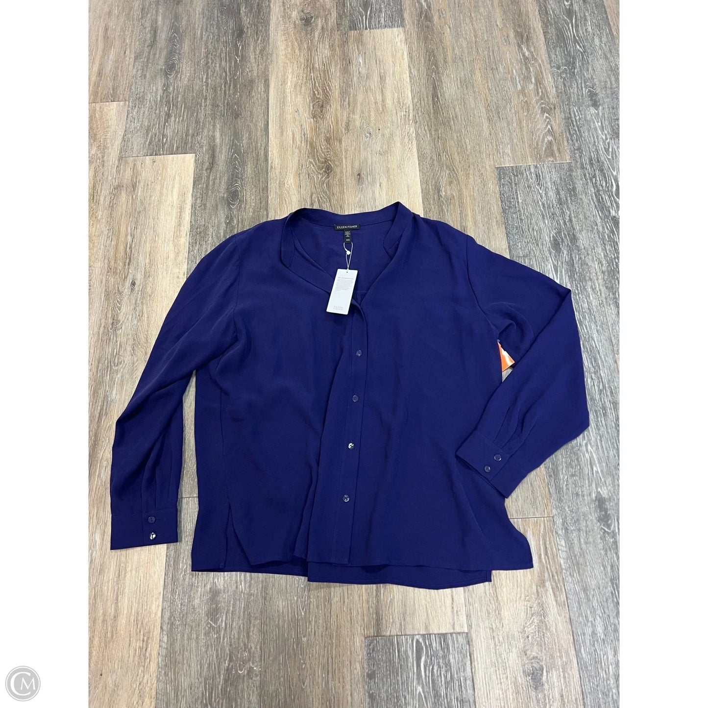Blouse Long Sleeve By Eileen Fisher In Blue, Size: M