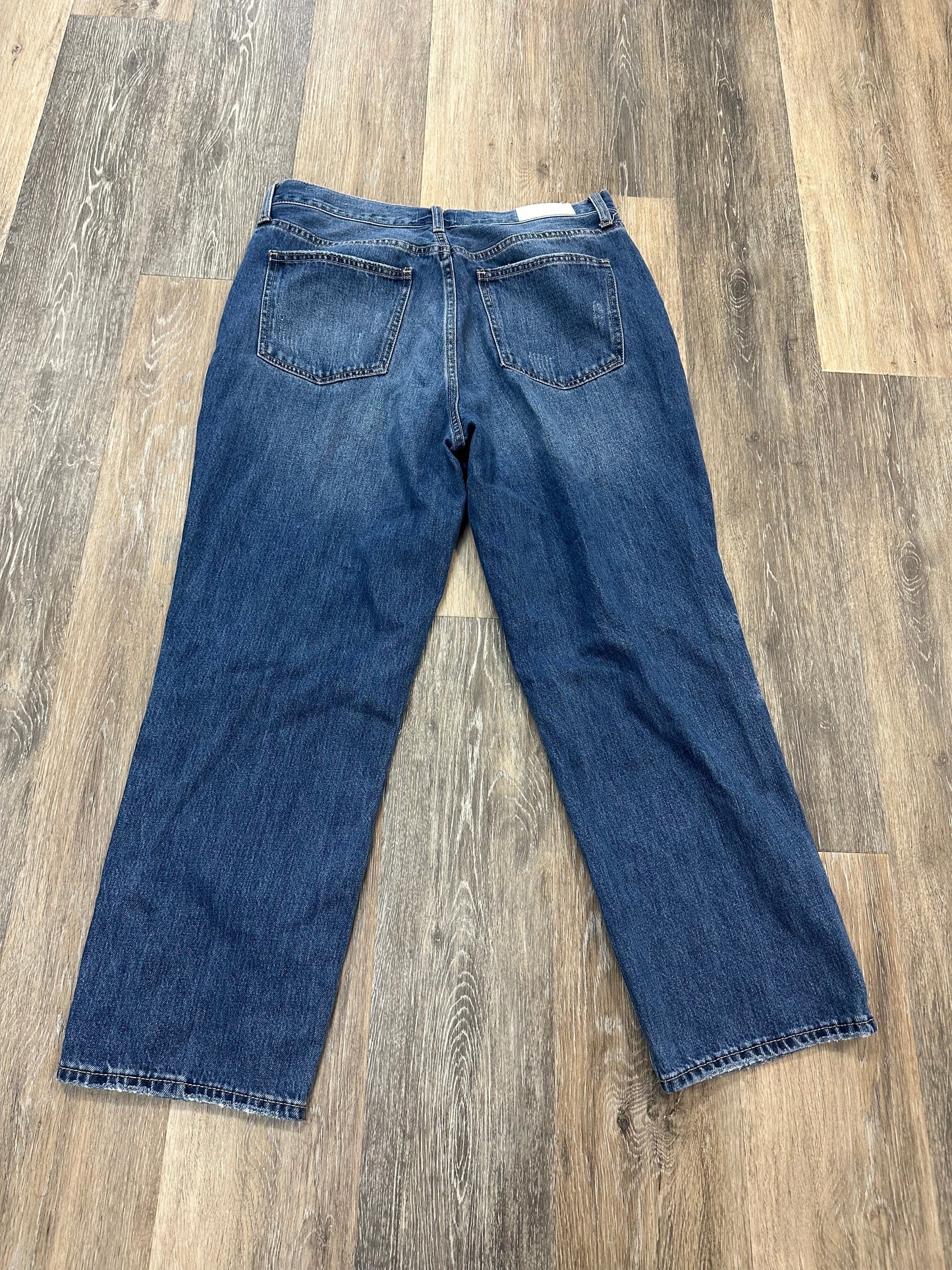Blue Denim Jeans Designer Pistola, Size 12