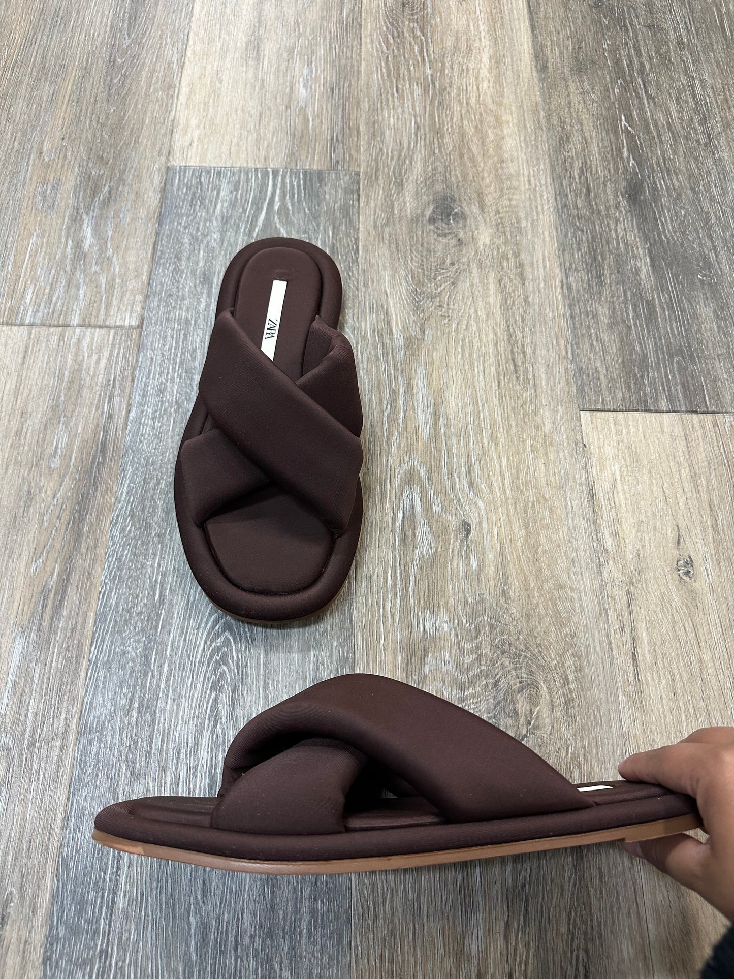 Sandals Flip Flops By Zara In Brown, Size: 8.5