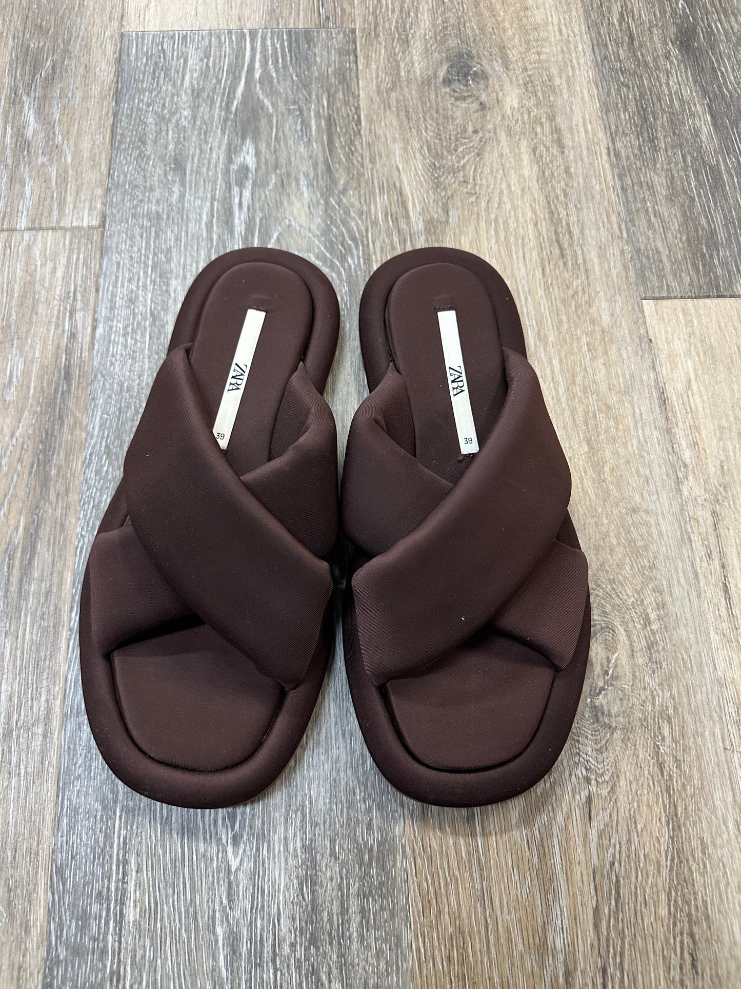 Sandals Flip Flops By Zara In Brown, Size: 8.5