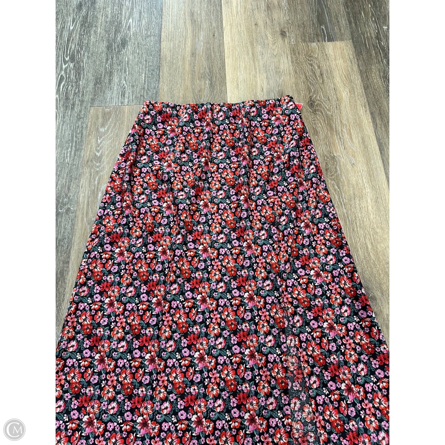 Skirt Maxi By Blue Rain In Floral Print, Size: M