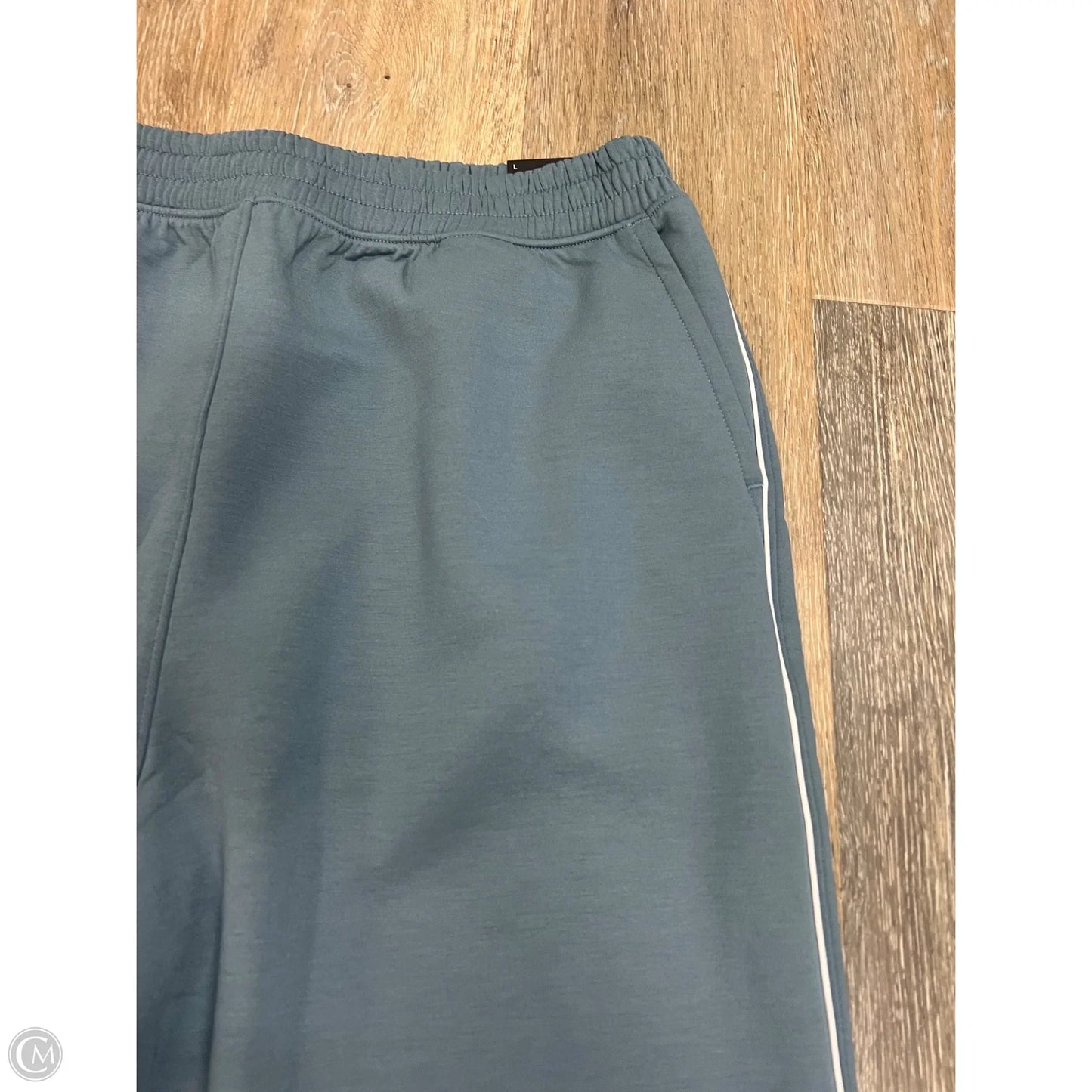Athletic Pants By Ypb In Blue, Size: L