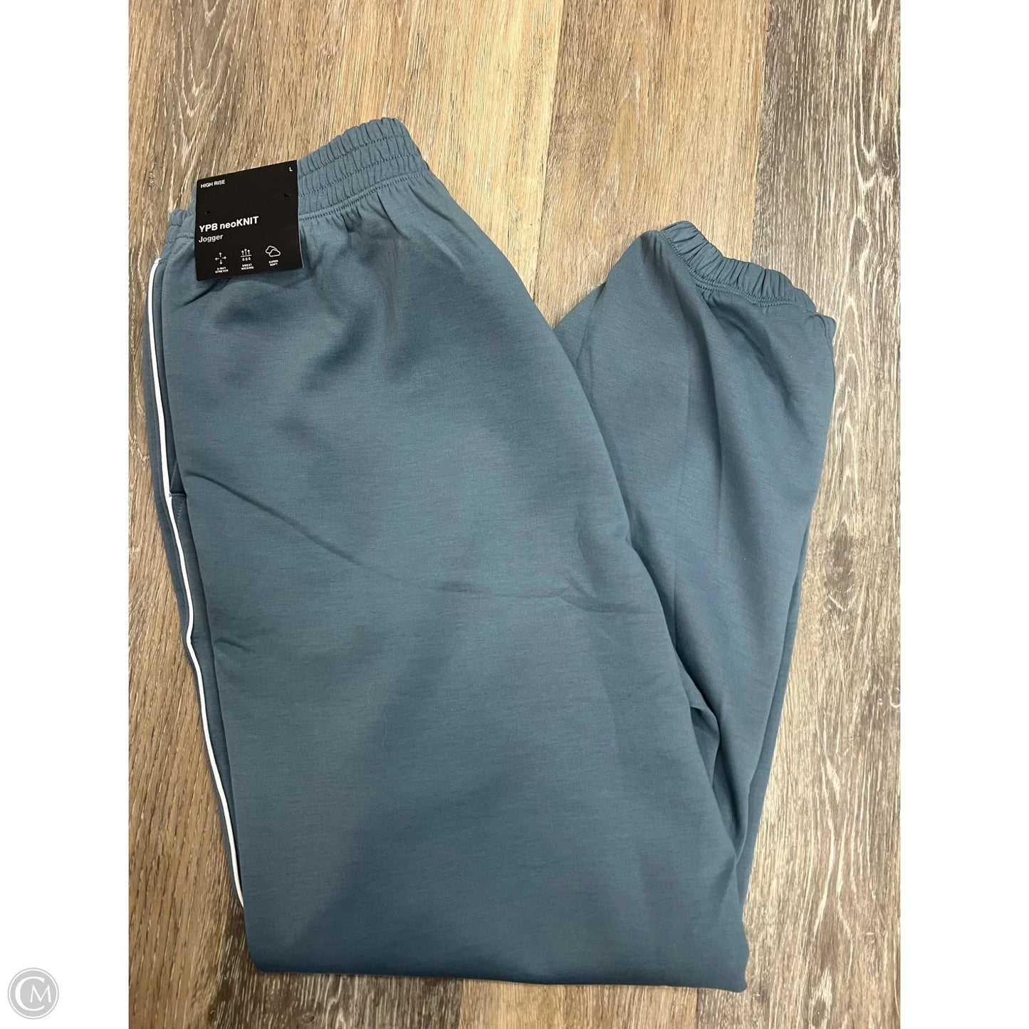 Athletic Pants By Ypb In Blue, Size: L