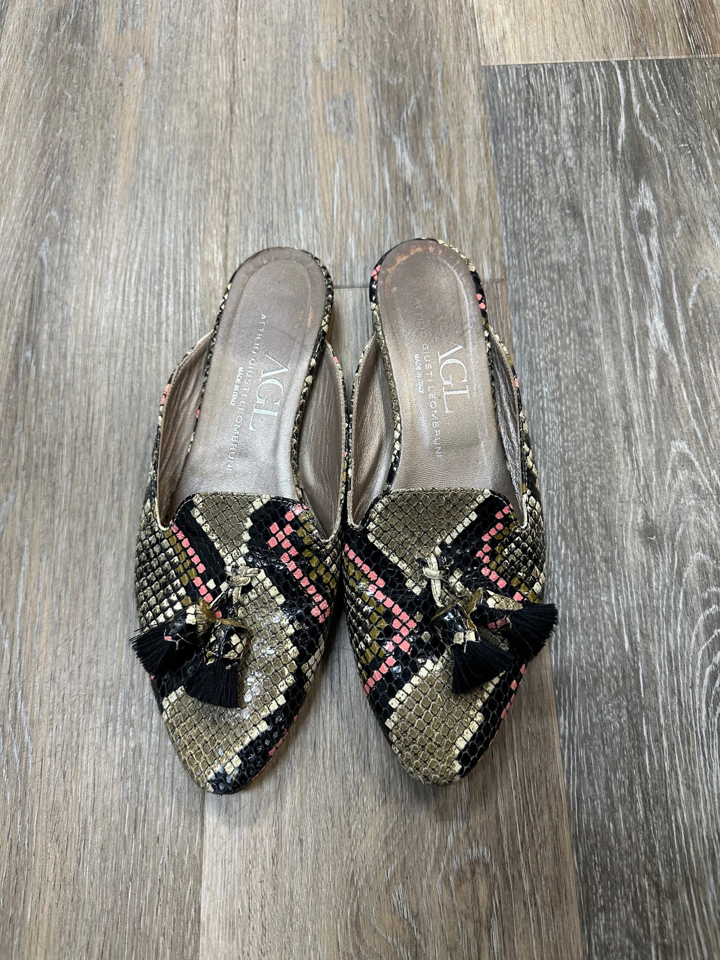 Shoes Flats By Agl In Snakeskin Print, Size: 7.5