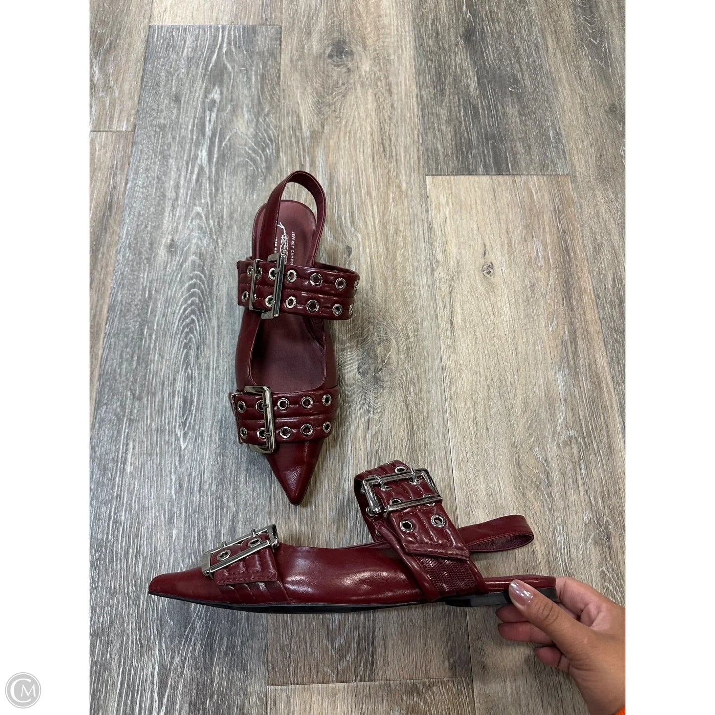 Shoes Flats By Jeffery Campbell In Maroon, Size: 9