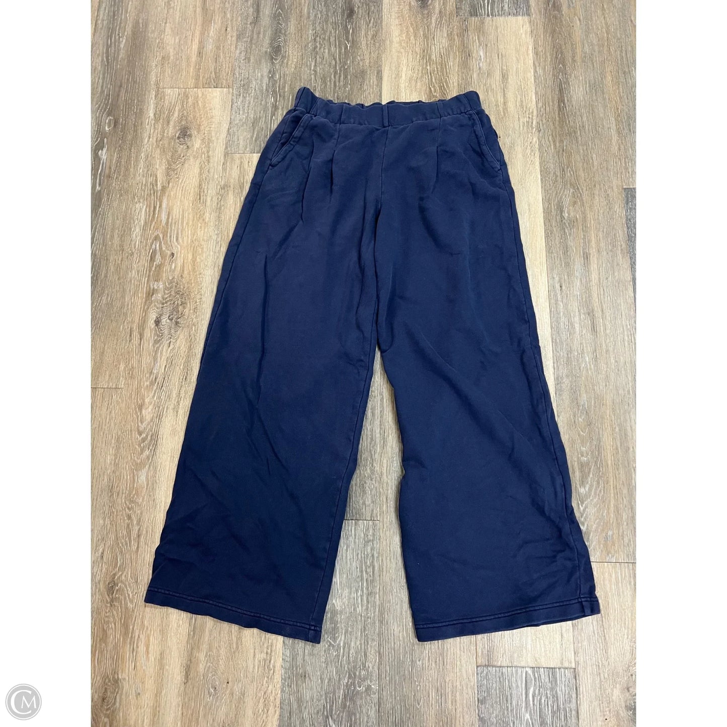 -Athletic Pants By Aerie In Blue, Size: M