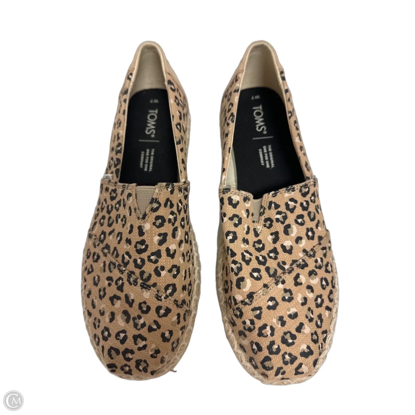 Shoes Flats By Toms In Animal Print, Size: 7