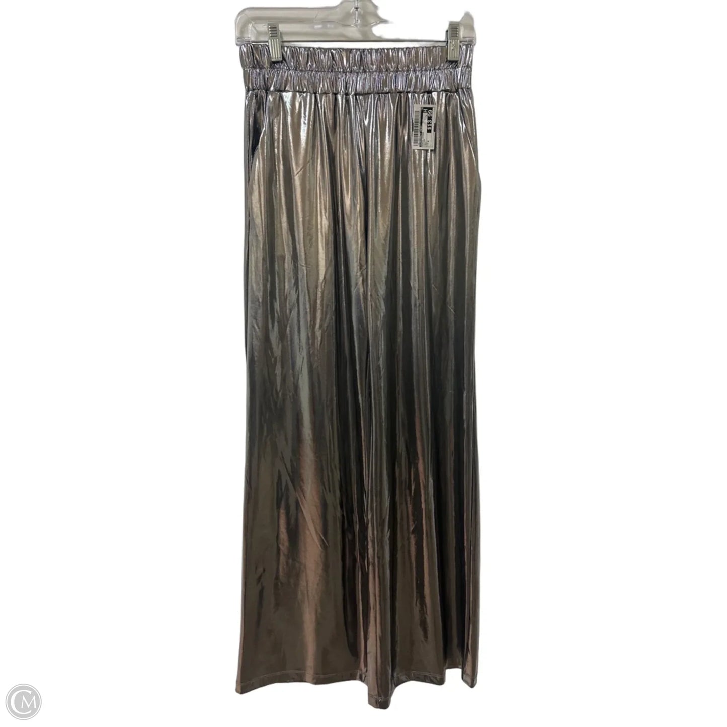 Pants Other By Sincerely Jules In Silver, Size: 8