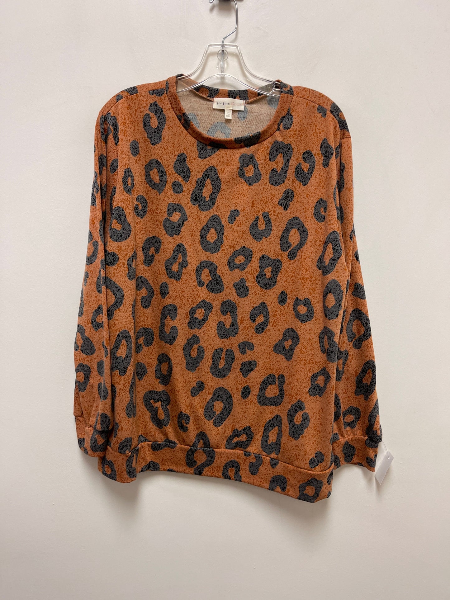Animal Print Top Long Sleeve Clothes Mentor, Size 1x
