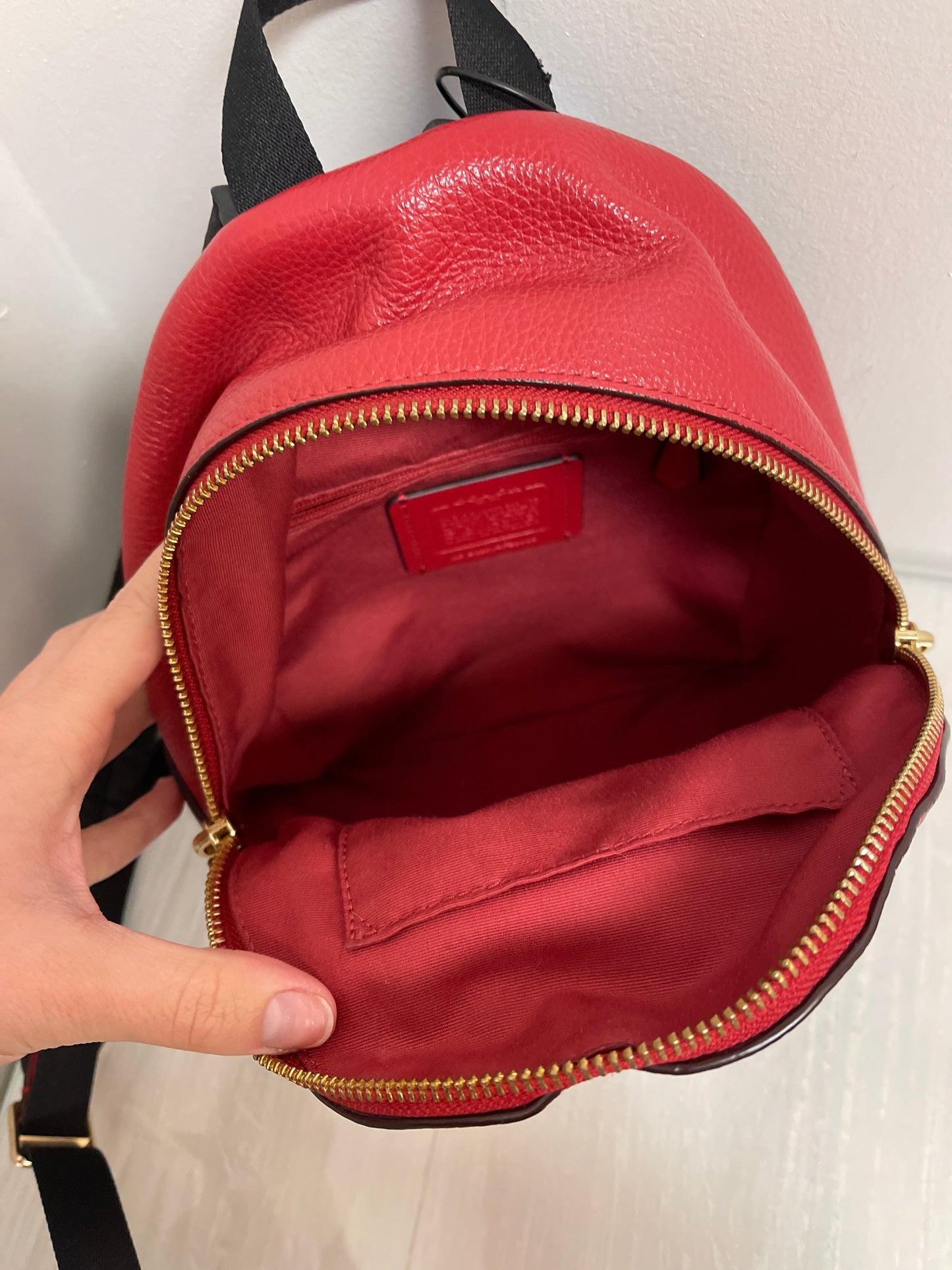 Backpack Designer By Coach, Size: Medium